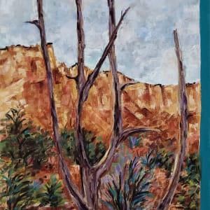 Naked Tree in front of Box Canyon by HEIDI KIDD