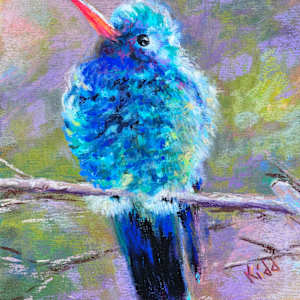 Fluffy After a Bath by HEIDI KIDD