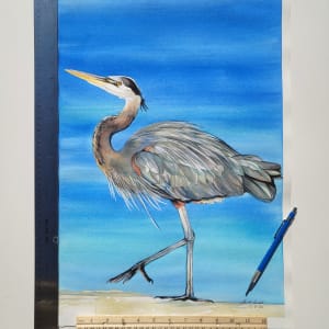 Great Blue Heron by HEIDI KIDD 
