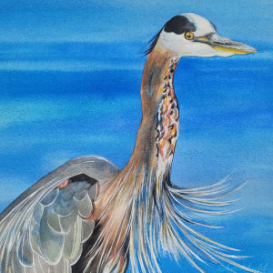 Great Blue Heron Two by HEIDI KIDD  Image: Zoomed in Detail