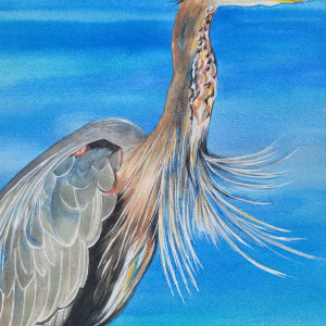 Great Blue Heron Two by HEIDI KIDD 
