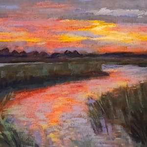 Herons Marsh by HEIDI KIDD