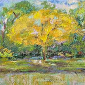 Tree with Ducks Town Lake McKinney by HEIDI KIDD, Image 1.