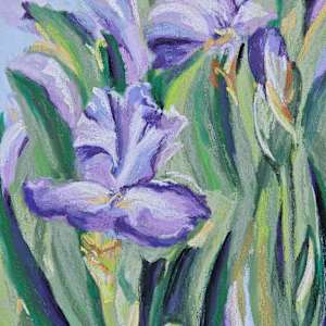 Waltz of The Irises by HEIDI KIDD