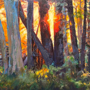 Summer Woods by Lois Shipley