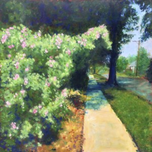 West Tryon East  36.077167N 79.101167W (36) by Thomas Stevens