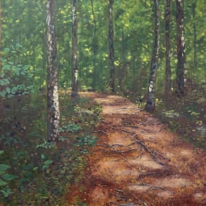 JMNP Trail I  35.99387N 79.05424W by Thomas Stevens