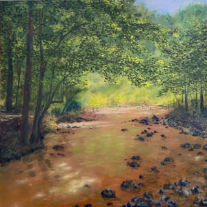 New Hope Creek Tranquility by Thomas Stevens  Image: New Hope Creek Tranquility (Shade)