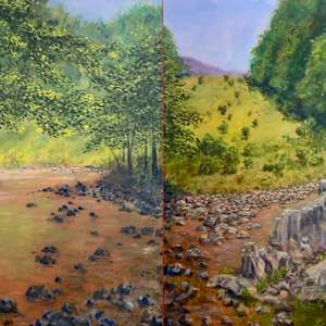 New Hope Creek Tranquility by Thomas Stevens