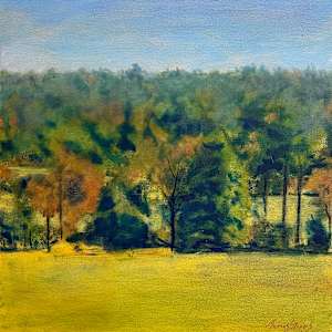 Orange County NC Vista  36.014N 79.104W by Thomas Stevens