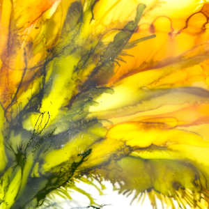 A Faraway Place by Deborah Llewellyn  Image: Detail