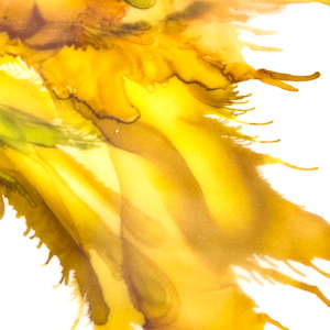 A Faraway Place by Deborah Llewellyn  Image: Detail