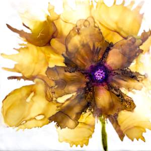 Drop The Mic by Deborah Llewellyn