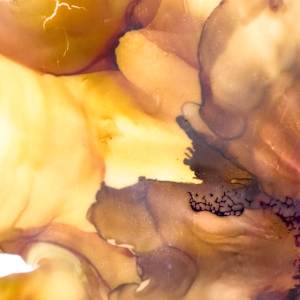 Drop The Mic by Deborah Llewellyn  Image: Detail