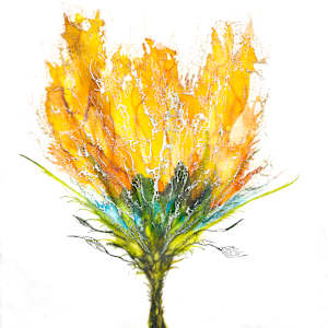 Find a Secret Hanging There by Deborah Llewellyn