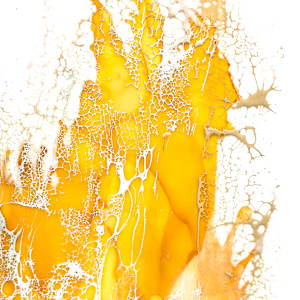 Find a Secret Hanging There by Deborah Llewellyn  Image: Detail