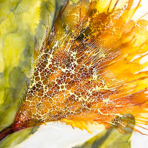 Flower Language by Deborah Llewellyn  Image: detail