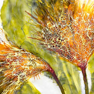 Flower Language by Deborah Llewellyn  Image: detail