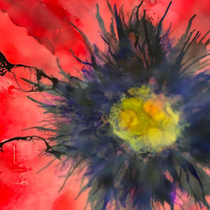 Poppy Red 2  Image: detail