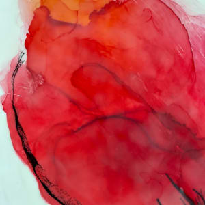 Poppy Red 3  Image: detail