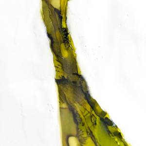It's All A Landslide by Deborah Llewellyn, Image 2.
