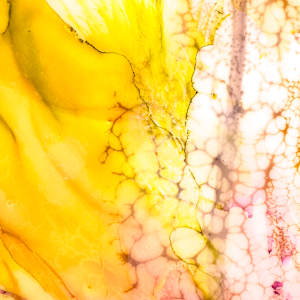 Luminous Blooming by Deborah Llewellyn, Image 4.