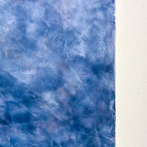 Moonstruck by Deborah Llewellyn  Image: Detail