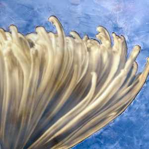 Moonstruck by Deborah Llewellyn  Image: Detail
