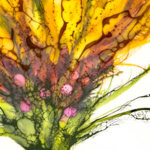 Shining Through by Deborah Llewellyn  Image: Detail