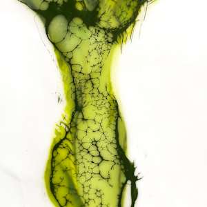 Shining Through by Deborah Llewellyn  Image: Detail