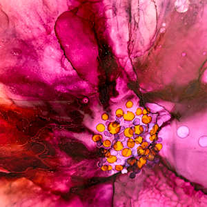 Some Have Secrets by Deborah Llewellyn, Image 2.