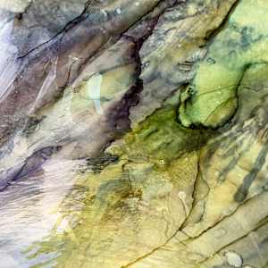 Some Have Secrets by Deborah Llewellyn, Image 3.