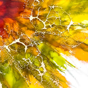 The Sunshine Kid by Deborah Llewellyn  Image: detail