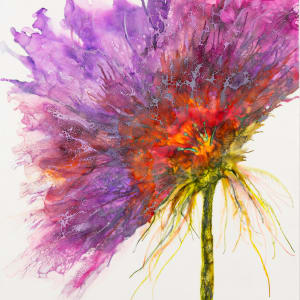 Velvet Kamikaze by Deborah Llewellyn