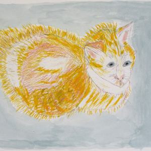 Plumeria by Toni Johnston