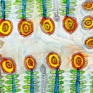 Hope by Claire Clifford