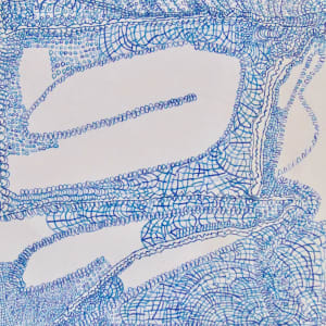 Network by Dana Sparrow