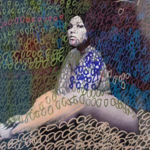 Hidden Beauty by Gina Cataldo