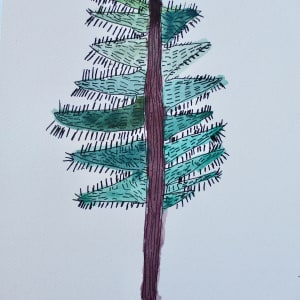 Lone Pine by David Coury