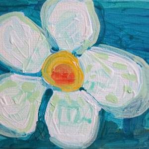 Matilija Poppy by Amy Ades