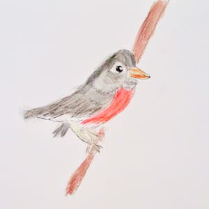 Robin by Emily Hoog