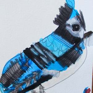 Jay by Jenny Bullock