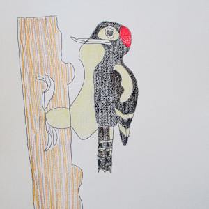 Woodpecker by K. Leigh Alfrey