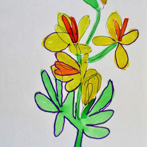 Lily by Patricia  Drake