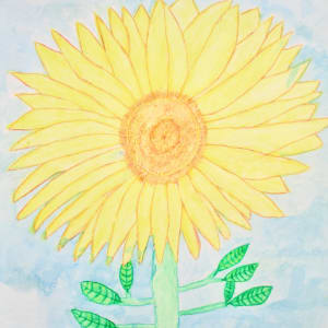 Sunflower by Seth Kelley