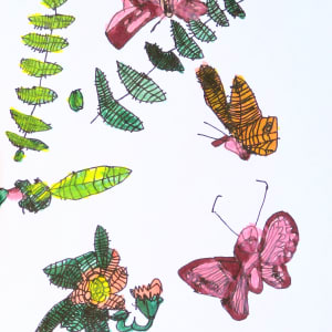 Butterfly Collection #1 by Siobhan Cooke