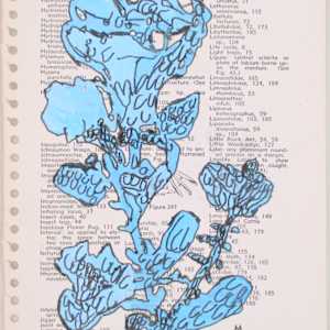 Index by Siobhan Cooke