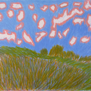 Windswept by Siobhan Cooke