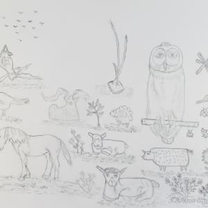 Wildlife by Toni Johnston