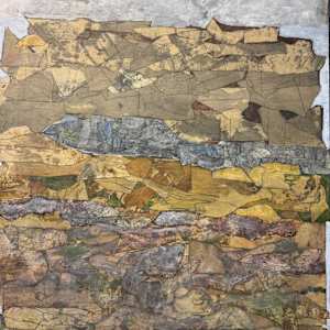 Takrouna - From the Maori POV by Peter Anderson